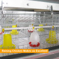 Automatic Chicken Farm Equipment for Layer Broiler Pullet
